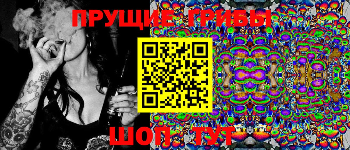Галлюциногенные грибы Cubensis  Вход с VPN  что такое   Кисловодск 